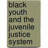 Black Youth and the Juvenile Justice System by Ronald H. Humphrey