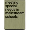 Meeting Special Needs in Mainstream Schools door Richard Stakes