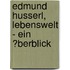 Edmund Husserl, Lebenswelt - Ein �Berblick