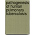 Pathogenesis of Human Pulmonary Tuberculosis