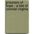 Prisoners of Hope - a Tale of Colonial Virginia