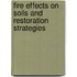 Fire Effects On Soils And Restoration Strategies