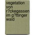 Vegetation Von R�Ckegassen Im G�Ttinger Wald
