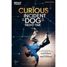The Curious Incident of the Dog in the Night-Time by Mark Haddon