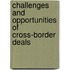 Challenges and Opportunities of Cross-Border Deals