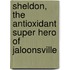 Sheldon, the Antioxidant Super Hero of Jaloonsville