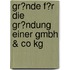 Gr�Nde F�R Die Gr�Ndung Einer Gmbh &Amp; Co Kg