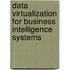 Data Virtualization for Business Intelligence Systems