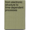From Electronic Structure to Time-Dependent Processes door Per-Olov Lowden