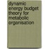 Dynamic Energy Budget Theory for Metabolic Organisation