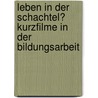 Leben in Der Schachtel? Kurzfilme in Der Bildungsarbeit door Marius Stelzer