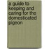 A Guide to Keeping and Caring for the Domesticated Pigeon