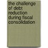 The Challenge of Debt Reduction During Fiscal Consolidation