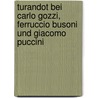 Turandot Bei Carlo Gozzi, Ferruccio Busoni Und Giacomo Puccini door Georgine Maria-Magdalena Balk