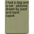 I Had a Dog and a Cat - Pictures Drawn by Josef and Karel Capek