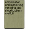 Amplifikation Und Klonierung Von Rdna Aus Sinorhizobium Meliloti by Cornelia Dorn