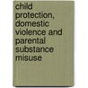 Child Protection, Domestic Violence and Parental Substance Misuse door Hedy Cleaver