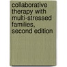 Collaborative Therapy with Multi-Stressed Families, Second Edition door William C. Madsen