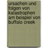 Ursachen Und Folgen Von Katastrophen Am Beispiel Von Buffalo Creek