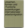 Ursachen, Formen Und R�Umliche Auswirkungen Internationaler Arbeitsmigration door Sonja Schulmeister