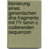 Klonierung Eines Genomischen Dna-Fragments Mit F?R Lamin C Codierenden Sequenzen by Robert Eibl