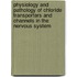 Physiology and Pathology of Chloride Transporters and Channels in the Nervous System