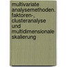 Multivariate Analysemethoden. Faktoren-, Clusteranalyse Und Multidimensionale Skalierung door Alexander Bock
