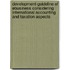 Development-Guideline of Ebusiness Considering International Accounting and Taxation Aspects