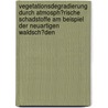 Vegetationsdegradierung Durch Atmosph�Rische Schadstoffe Am Beispiel Der Neuartigen Waldsch�Den door Christopher Sp�th