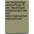 Verzweigtkettige Aminos�Uren in Der Hepatologie Insbesondere Bei Der Dekompensierten Leberzirrhose