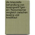 Die Bilanzielle Behandlung Von Leasingvertr�Gen - Ein �Konomischer Vergleich Zwischen Leasing Und Kreditkauf