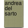 Andrea del Sarto door Onbekend