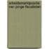 Arbeidsmarktpositie van jonge fiscalisten