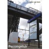 Perrongeluk by Steven van Beek