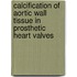 Calcification of aortic wall tissue in prosthetic heart valves