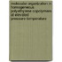 Molecular organization in homogeneous polyethylene copolymers at elevated pressure-temperature