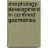 Morphology development in confined geometries