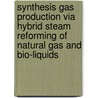Synthesis gas production via hybrid steam reforming of natural gas and bio-liquids by Ragavendra Prasad Balegedde Ramachandran