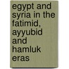 Egypt and Syria in the Fatimid, Ayyubid and Hamluk Eras door Urbain Vermeulen