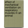 Effect of mechanical ventilation on respiratory muscles in an animal by D. Testelmans