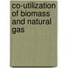Co-utilization of biomass and natural gas by Frank Delattin