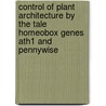 Control Of Plant Architecture By The Tale Homeobox Genes Ath1 And Pennywise door B.P.W. Rutjens