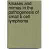 Kinases And Mirnas In The Pathogenesis Of Small B Cell Lymphoma by M. Wang