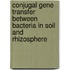 Conjugal gene transfer between bacteria in soil and rhizosphere