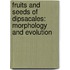 Fruits and seeds of Dipsacales: Morphology and evolution