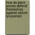 How do plant pecies defend themselves against Oidium lycopersici