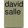 David Salle door Rudi Fuchs