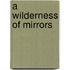A wilderness of mirrors