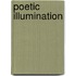 Poetic Illumination
