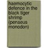 Haemocytic defence in the black tiger shrimp (Penaeus monodon)